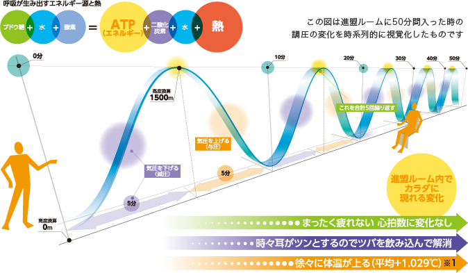 気圧の波が細胞にキセキを起こす